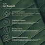 ION- Gut Support