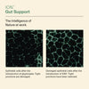 ION- Gut Support