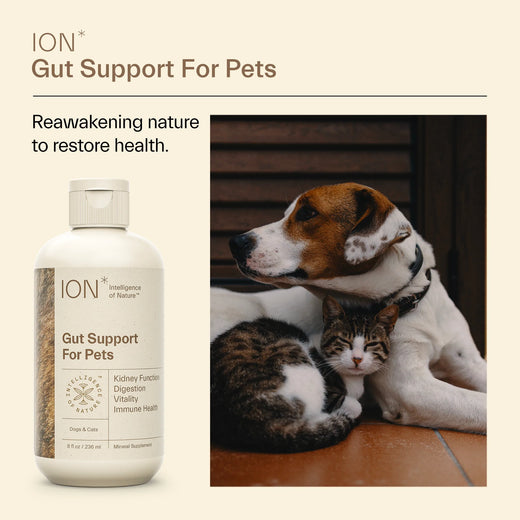 ION- Pet Health