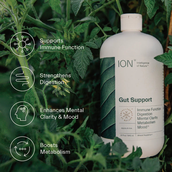 ION- Gut Support – awakensupplements
